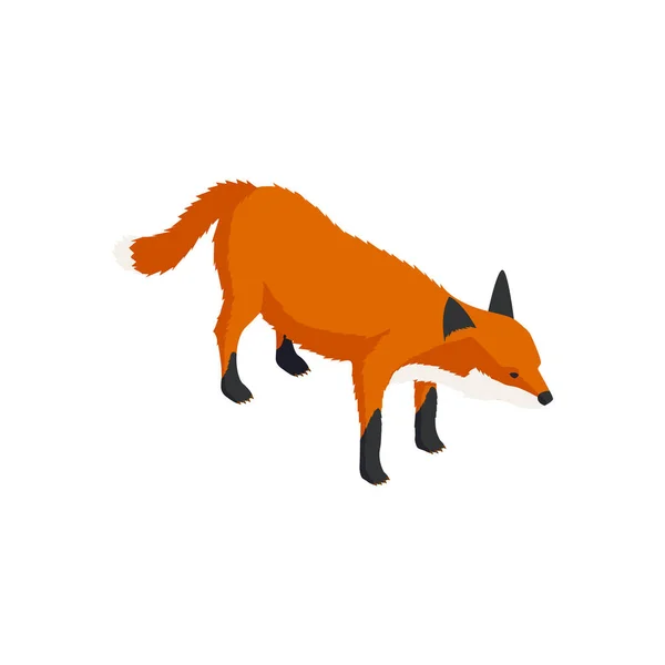 Zoo Fox Isometric Composition — Stockový vektor