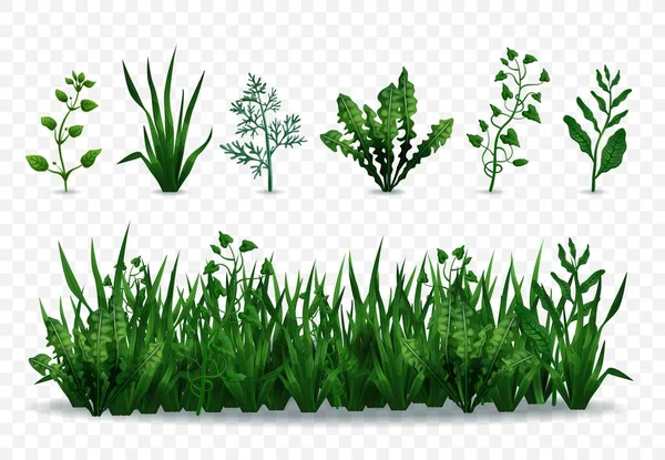Gröna gräs set — Stock vektor