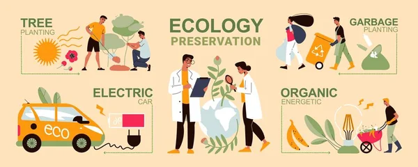 Ecología infografías planas — Archivo Imágenes Vectoriales