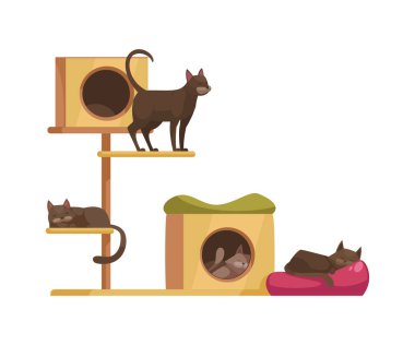kedi ağaç simgesiyle