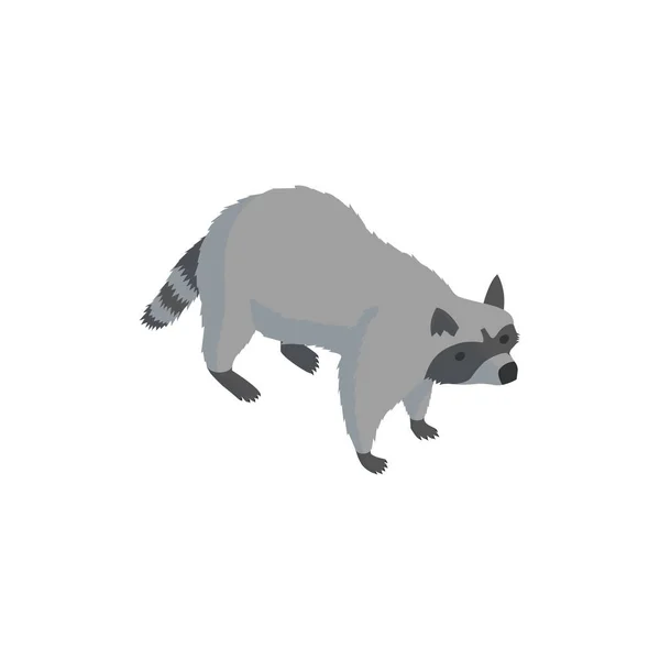 Zoo Raccoon Isometric Composition — Stock vektor