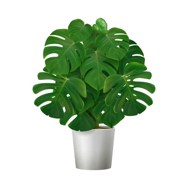 Monstera en el icono de la olla — Vector de stock