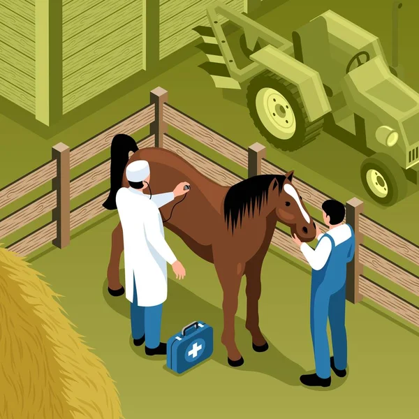 Landbouwbedrijf Veterinaire Isometrische Samenstelling — Stockvector