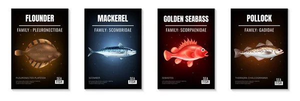 海魚｜Realistic Poster Set — ストックベクタ