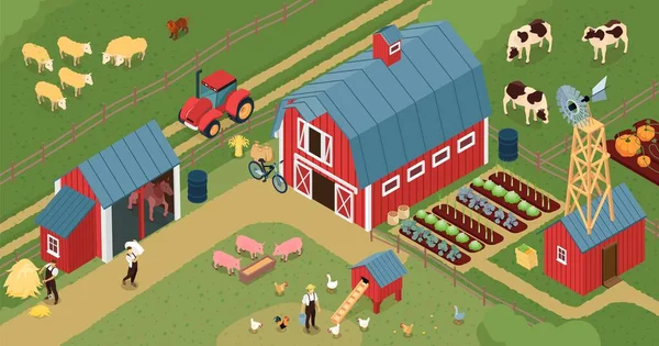 Isometrische Zusammensetzung der Farm Barnyard — Stockvektor