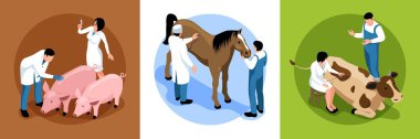 Çiftlik Veterineri Isometric Kavramı