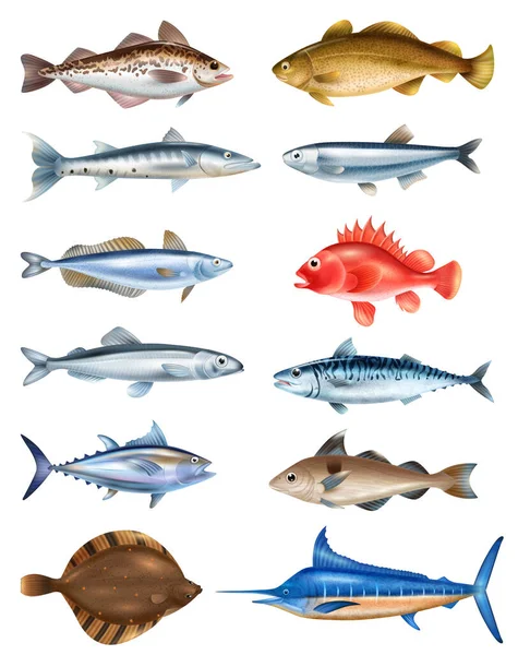 Mar pescado conjunto realista — Vector de stock