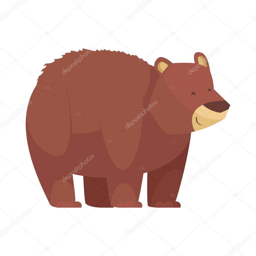 Cartoon Bear Icon