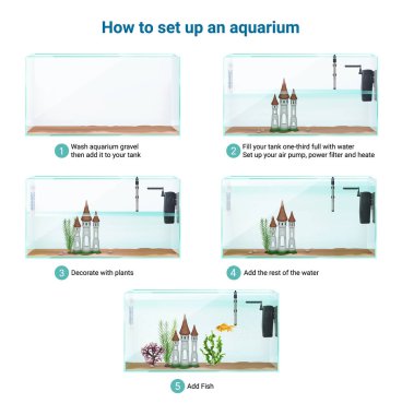 Aquarium Setup Realistic Infographics