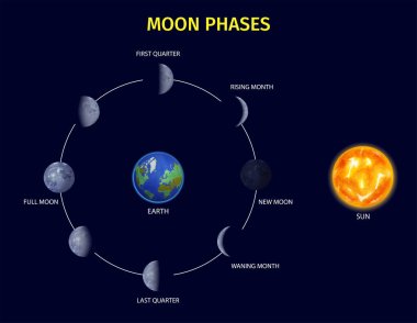 Ay Aşamaları Bilgisel Ayarları