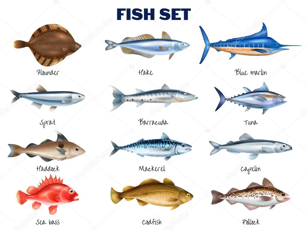 Sea Fish Set