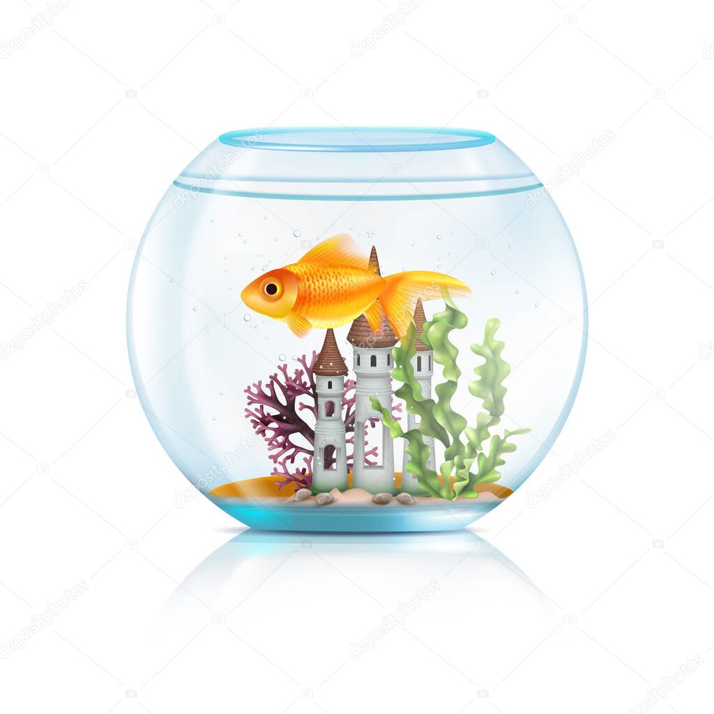 Aquarium Fish Realistic Composition