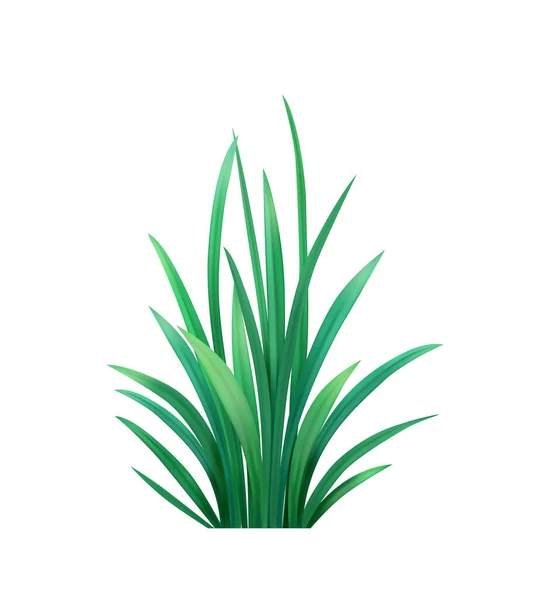 Ilustración realista de hierba — Vector de stock