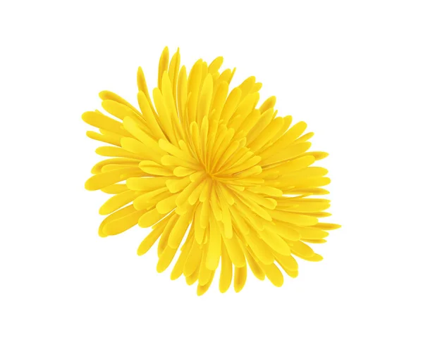 Icône de fleur de pissenlit — Image vectorielle