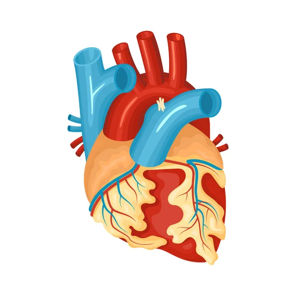 Illustrazione del cuore malato — Vettoriale Stock