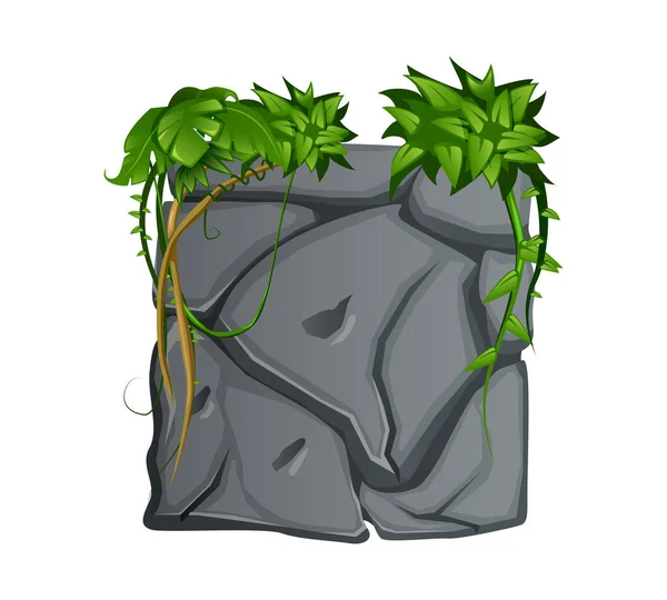 Piedra con Liana Ilustración — Vector de stock