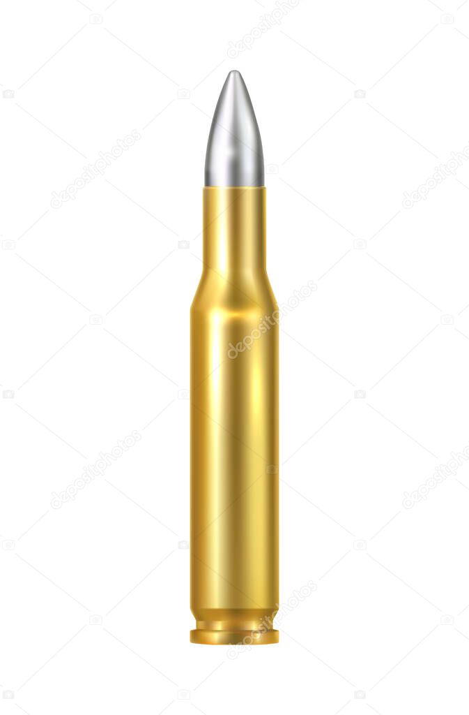 Rifle Shell Illustration