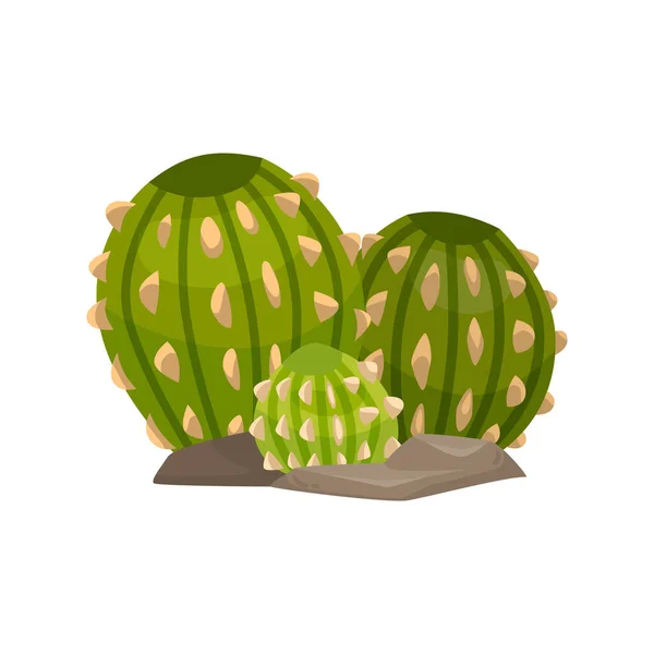 Tecknad kaktusillustration — Stock vektor