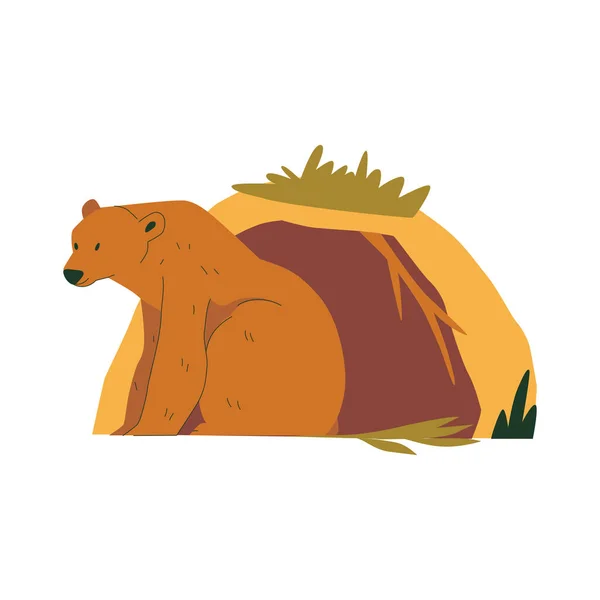 Flat Bear Illustration — Stockvektor