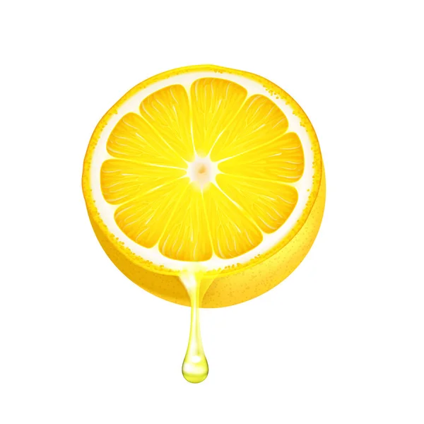 Lemon Half Juicy Realistic Image — Stock Vector