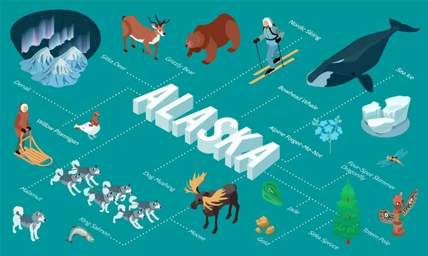 Isometrisches Flussdiagramm von Alaska — Stockvektor