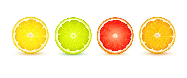 Citrus szelet reális készlet — Stock Vector