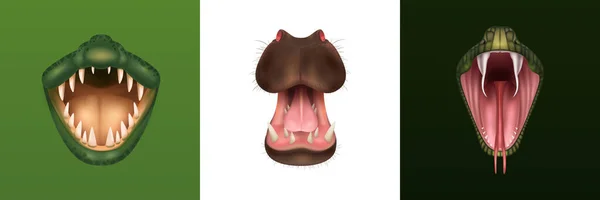 Animal Mouth Design Konzept — Stockvektor