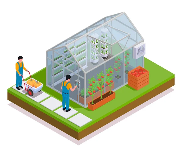 Modern Greenhouse Isometric Colored Composition — Stock Vector