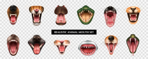 Realistic Animal Mouths Set — Vetor de Stock