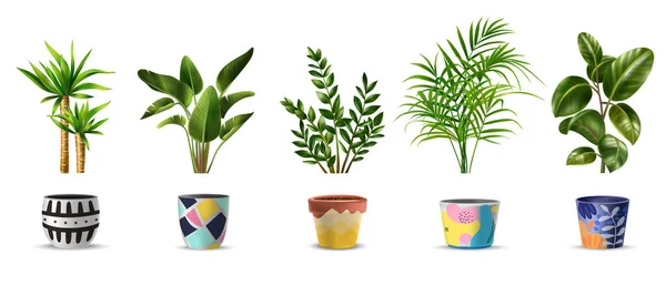 Set piante domestiche — Vettoriale Stock