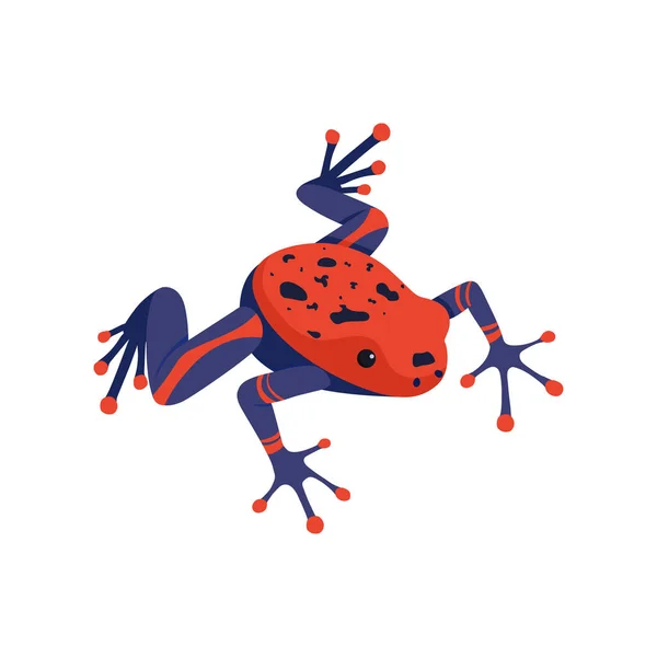 Frog Isometric Illustration — Vector de stock