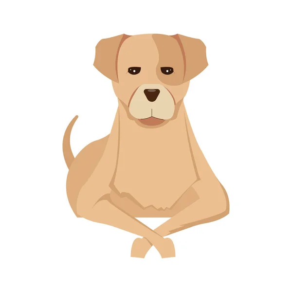 Droevige hond illustratie — Stockvector