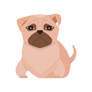 Düz Pugdog Çizimi