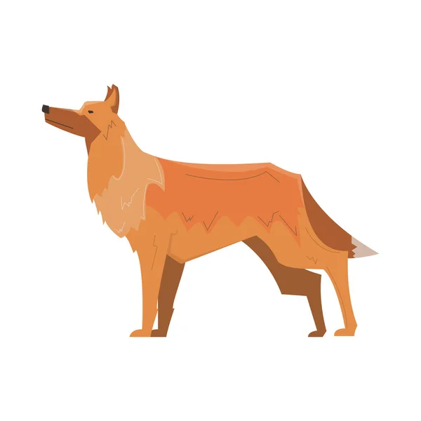 Platt hund illustration — Stock vektor