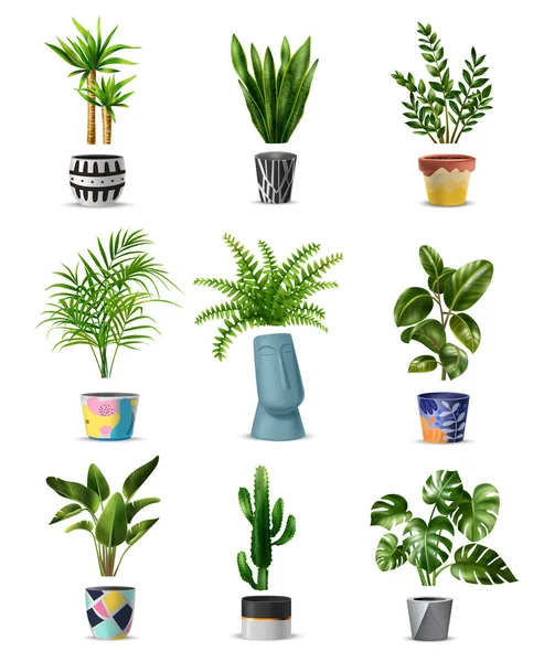Início Plantas Conjunto de ícones — Vetor de Stock