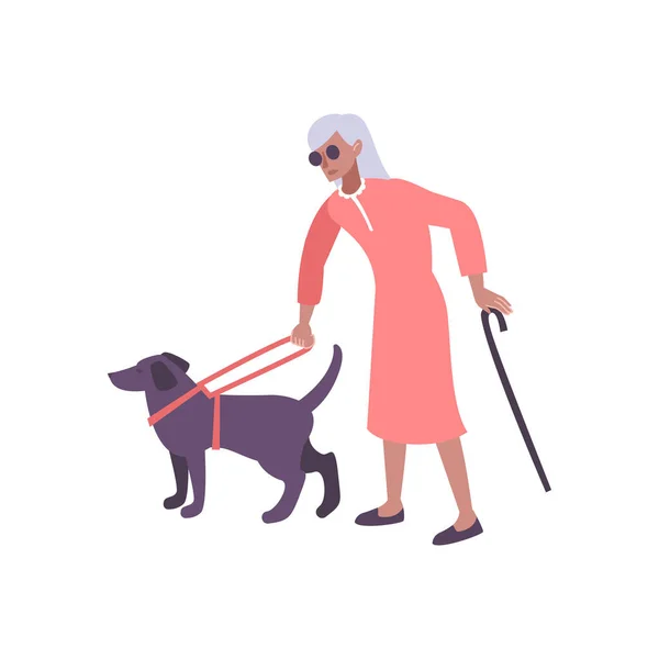 Blind Walking Dog Composição — Vetor de Stock