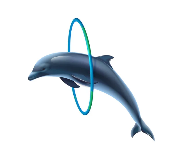 Delfin Hoop Jump Sammansättning — Stock vektor