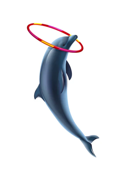 Composición de delfín y aro — Archivo Imágenes Vectoriales
