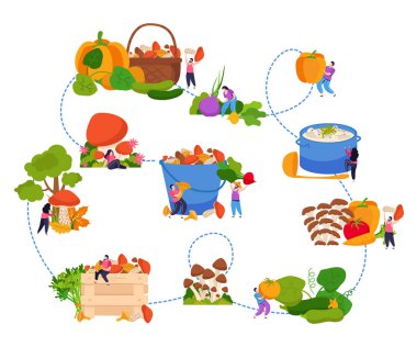 Mantar Bileşimi Çizimi