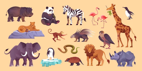 Zoo djur set — Stock vektor