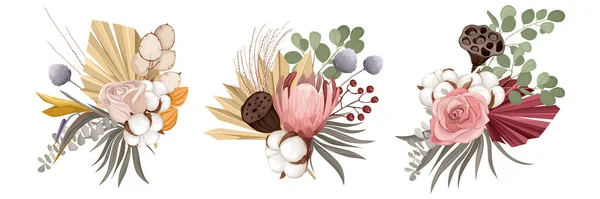 Сушеные флористические композиции — стоковый вектор
