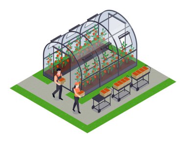 Sera Isometric Element