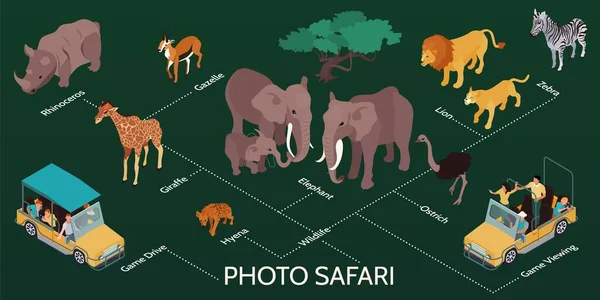 Φωτογραφία Safari Ισομετρικά Infographics — Διανυσματικό Αρχείο