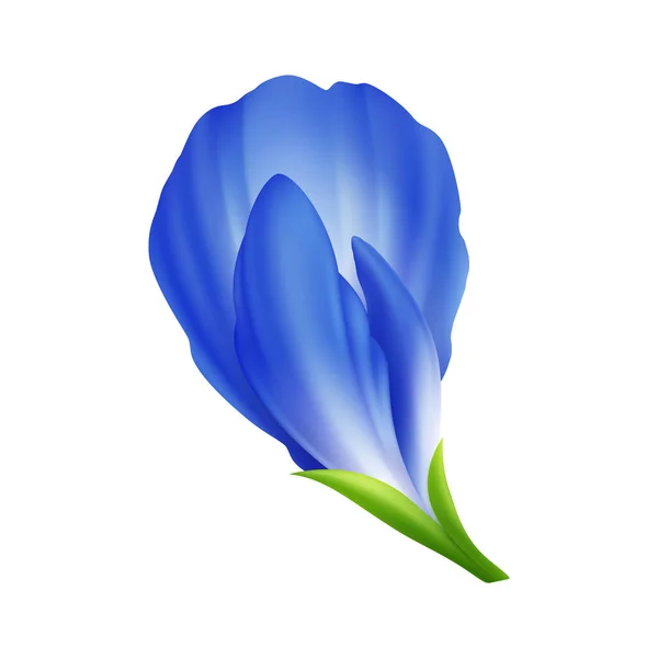 Realistische Zusammensetzung der Matcha-Blume — Stockvektor