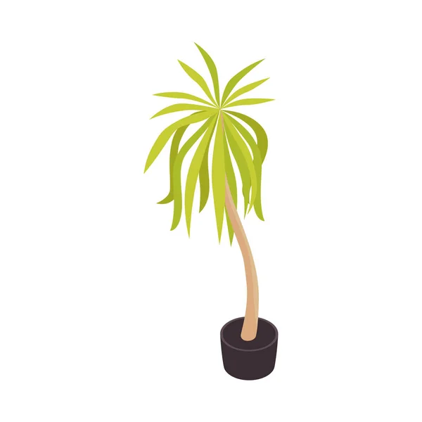 Home Plant Palm Composition — Stock Vector