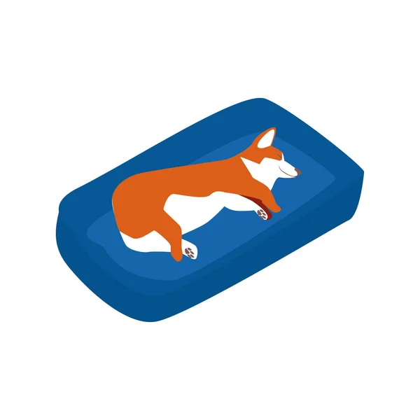 Dormir Corgi Composition isométrique — Image vectorielle