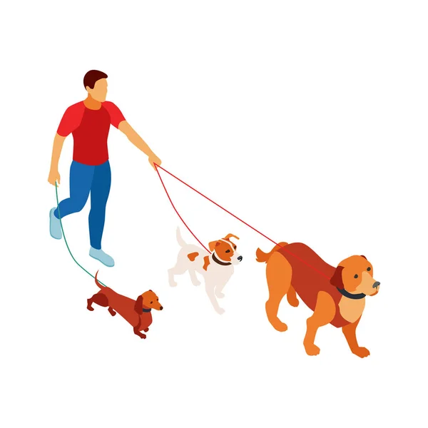 Walking Multiple Dogs Composition — Stockový vektor