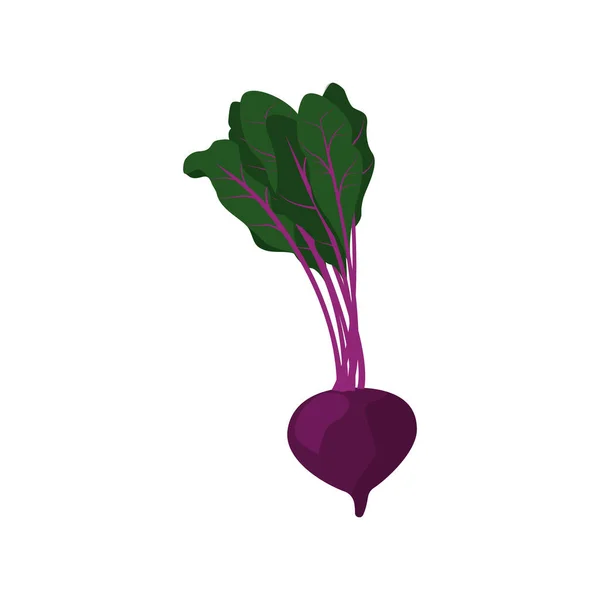 Beetroot Flat Icon — Stock Vector