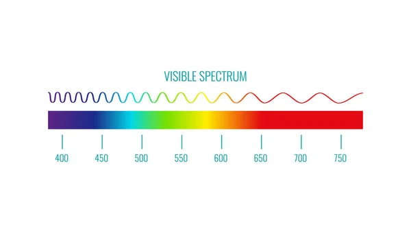 Infografica dello spettro di colore — Vettoriale Stock