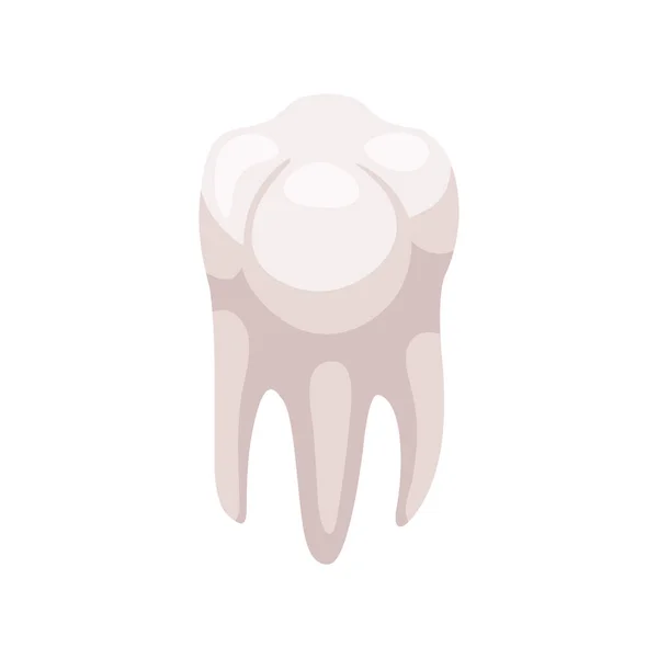 Tandenisometrische pictogram — Stockvector